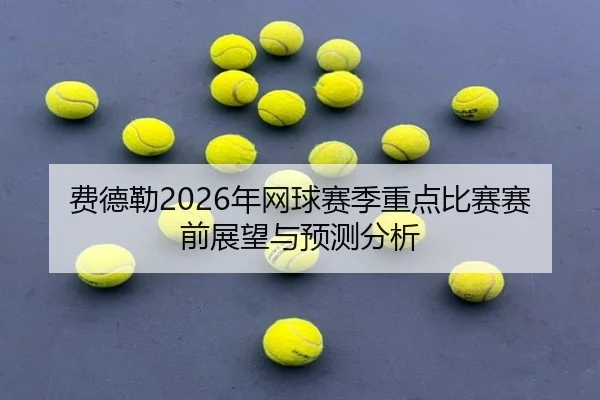fei-de-lei-nian-wang-qiu-sai-ji-zhong-dian-bi-sai-sai-qian-zhan-wang-yu-yu-ce-fen-xi-2-451.jpg
